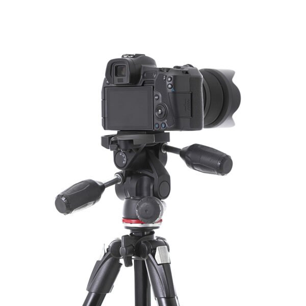 Sed ultrices nisi ut - Image 2